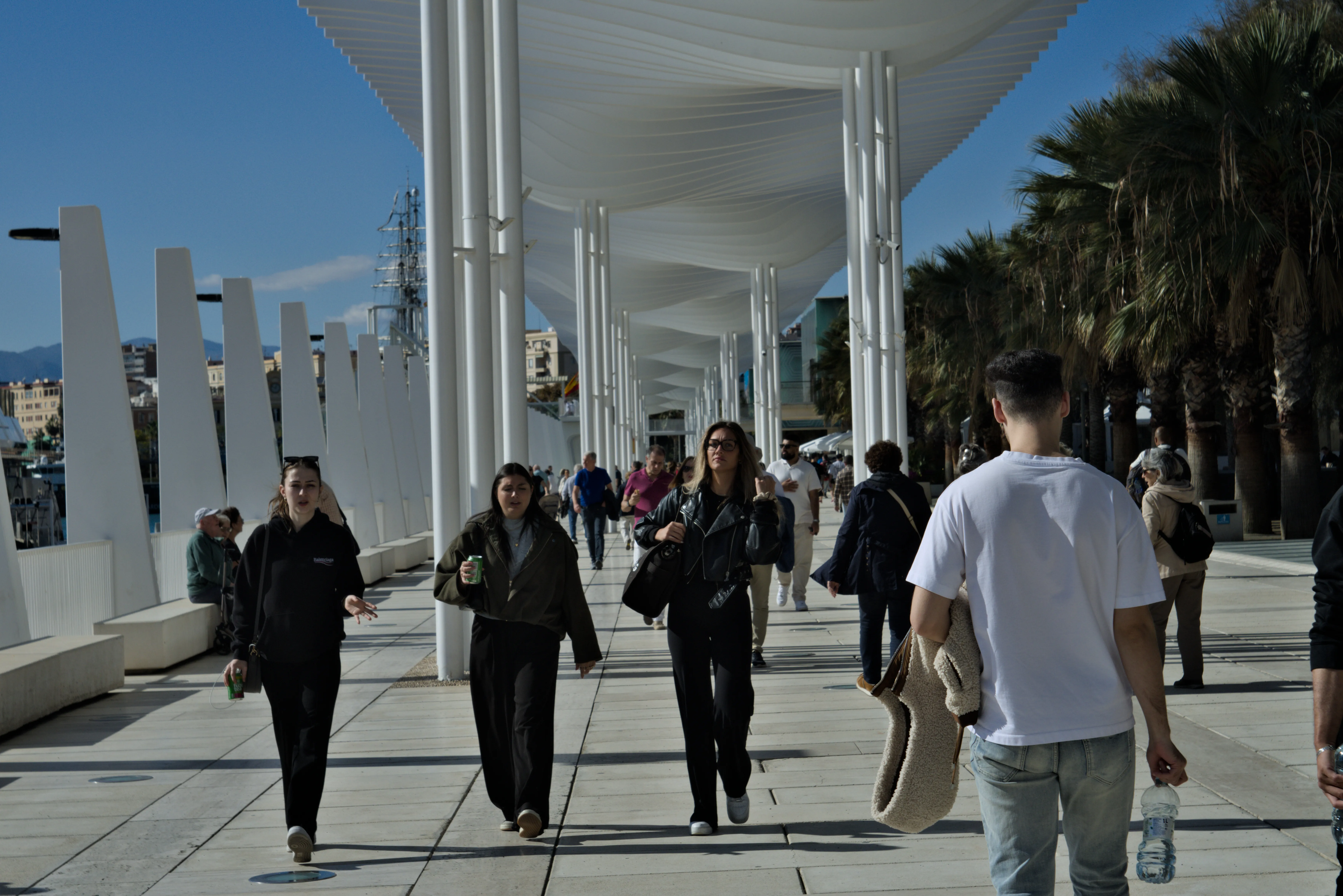 Industar-50-2 50mm f3.5 (M42) - _I4A2603.webp